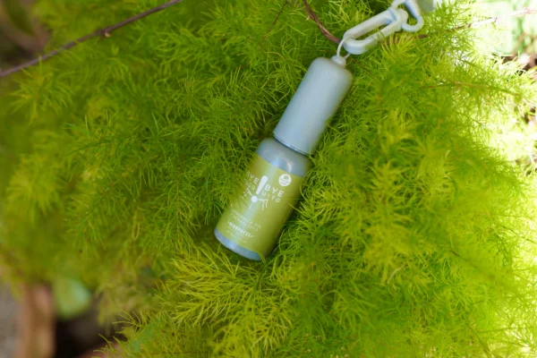 BYE BYE MOSQUITO – Image 2