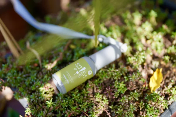 BYE BYE MOSQUITO – Image 4