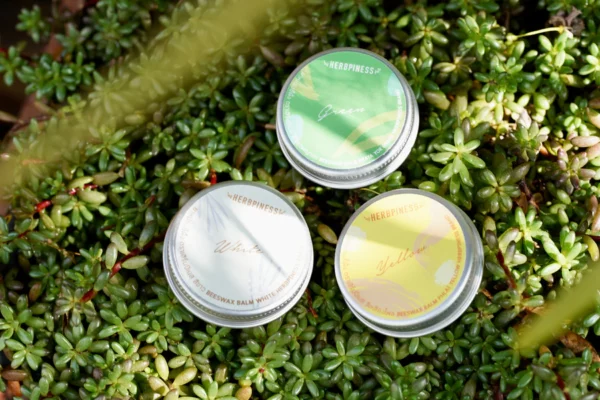 BAUME A LA CIRE D'ABEILLE