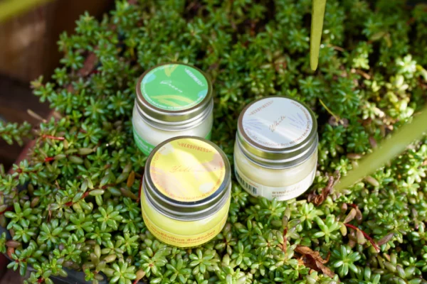 BAUME A LA CIRE D'ABEILLE